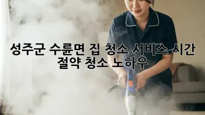 성주군 수륜면 집 청소 서비스: 시간 절약 청소 노하우
