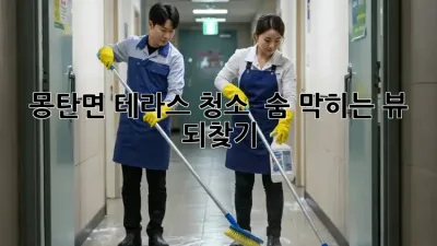 ✨ 몽탄면 테라스 청소, ✨ 숨 막히는 뷰 되찾기! 🏡