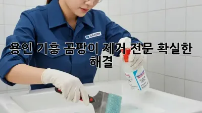 용인 기흥 곰팡이 제거 전문, 확실한 해결! 💯